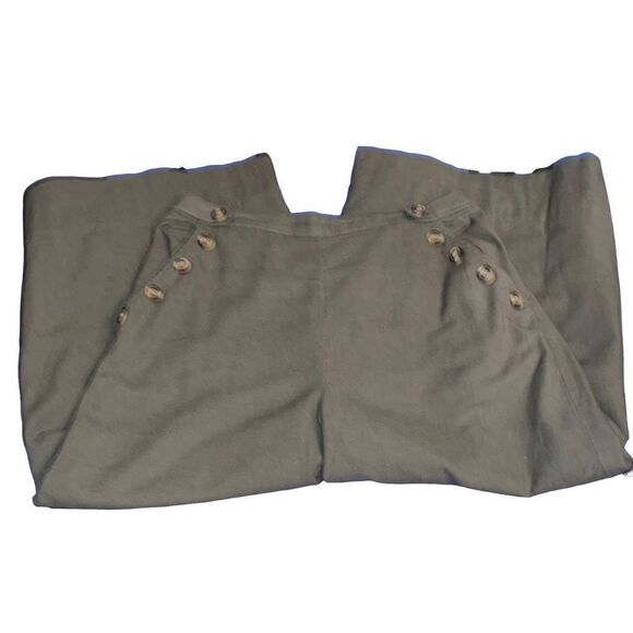 American Eagle Women Elastic Waist Structured Pleated Shorts Size Large - Picture 1 of 8